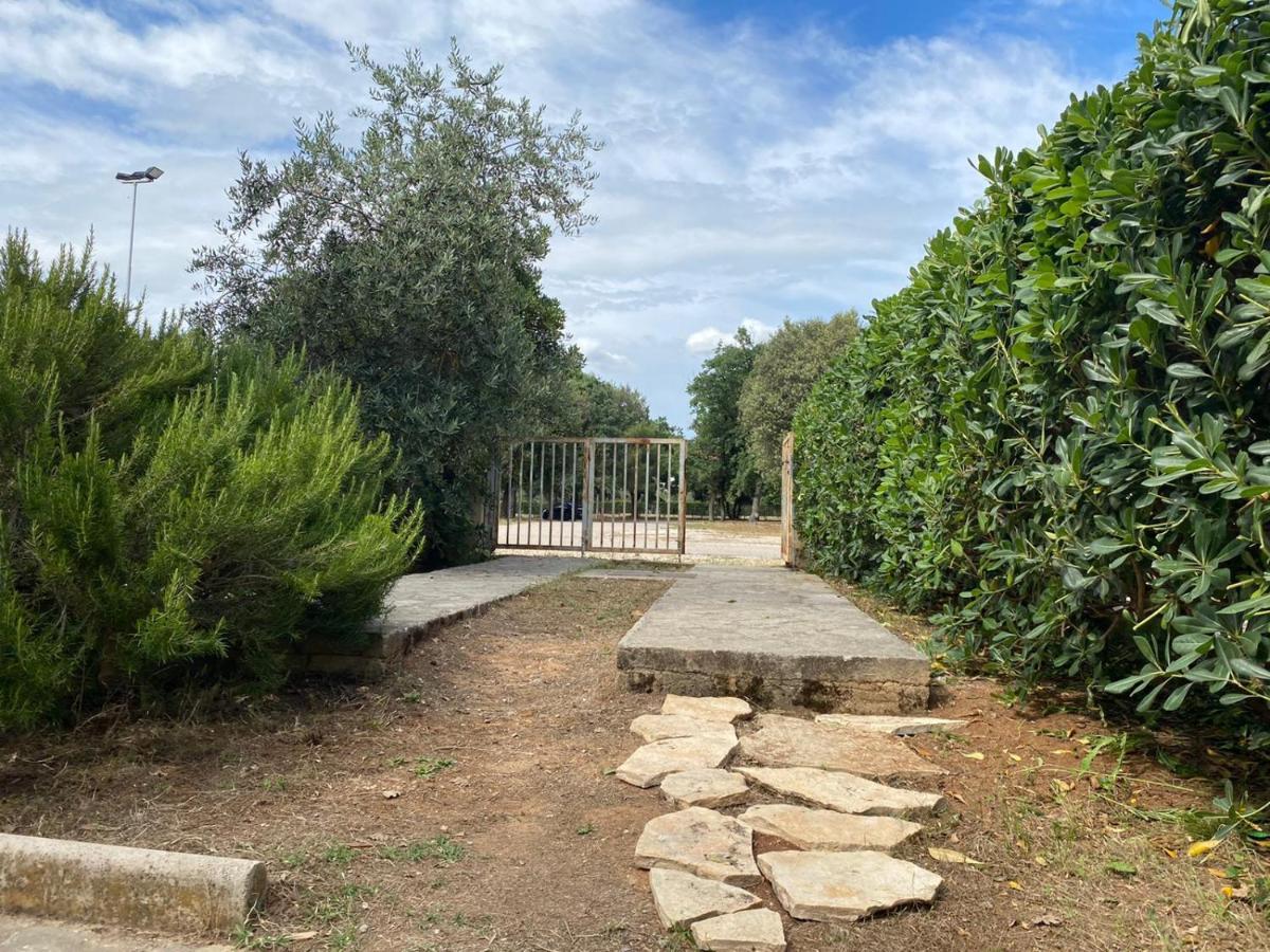 Apartment Soline Biograd Na Moru Eksteriør bilde